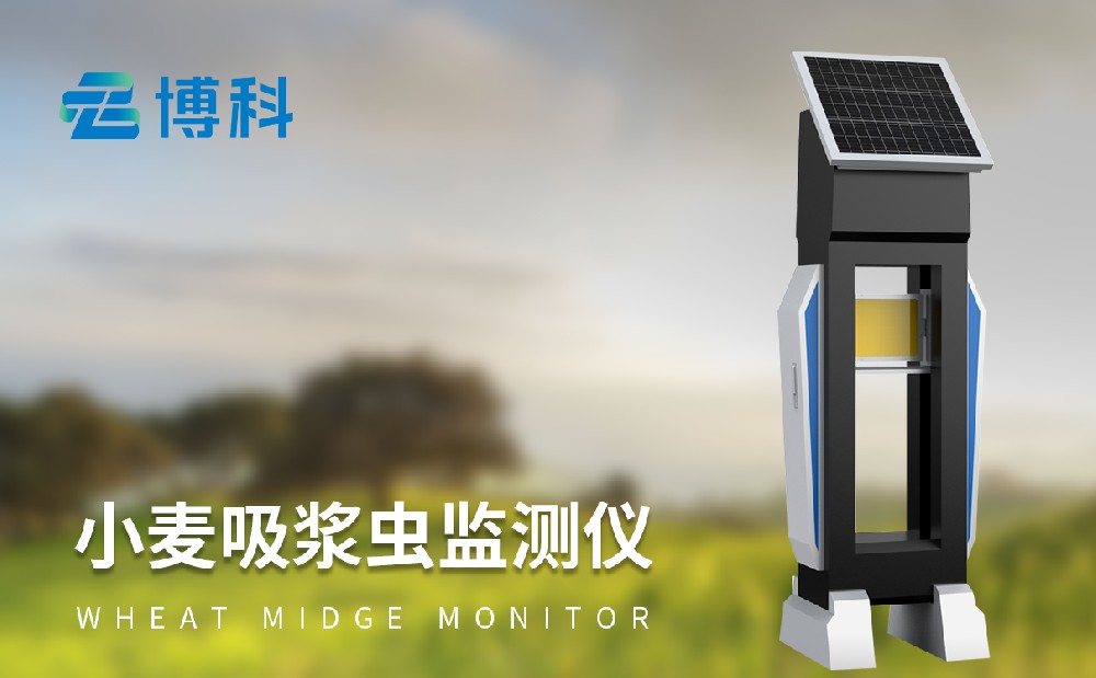 吸漿蟲(chóng)測(cè)報(bào)儀