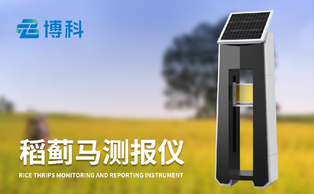 稻薊馬病監測系統