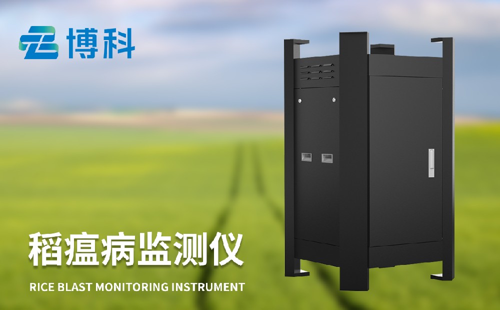 稻瘟病的防治有哪些注意事項(xiàng)