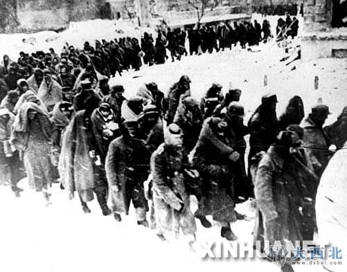 這是德軍俘虜穿過(guò)斯大林格勒街道。新華社發(fā)