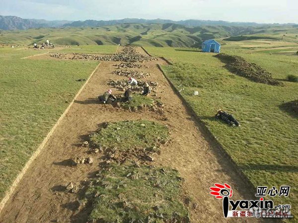新疆木壘平頂山一古墓發(fā)現整只殉馬遺骨