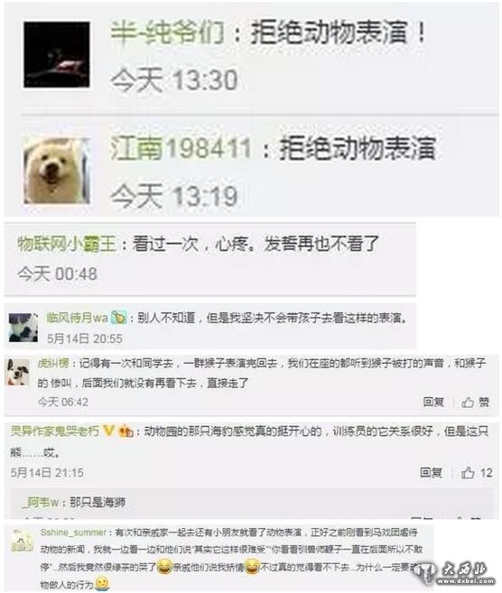 福州動(dòng)物園狗熊跨欄失敗遭腳踢襠部 觀(guān)眾憤怒喊停
