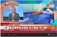 視頻｜王戰：展品新鮮