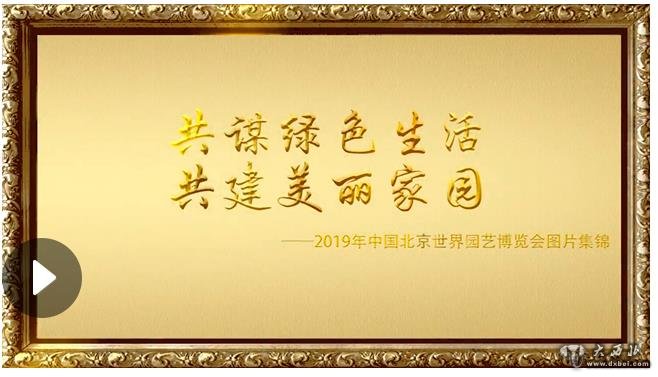 共謀綠色生活，共建美