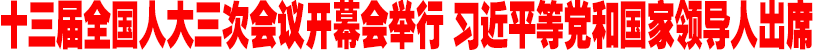 十三屆全國人大三次會(huì )