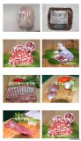 甘肅環(huán)縣中盛羊業(yè)發(fā)展