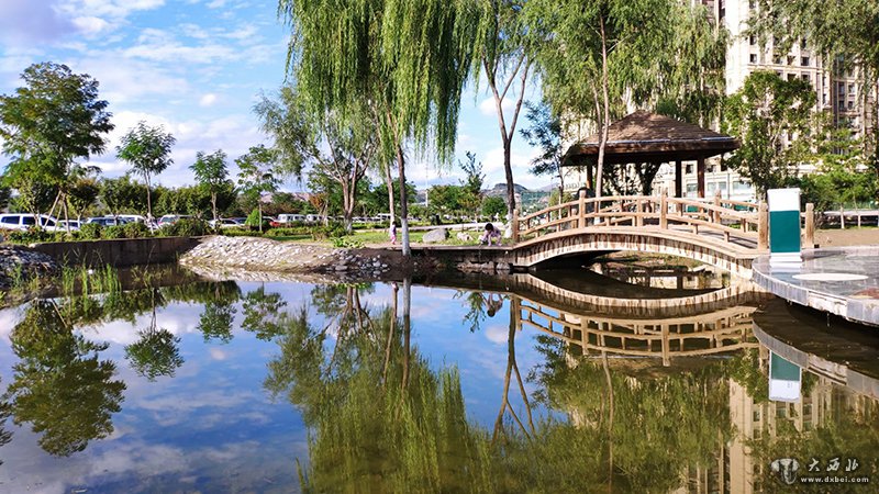 金城盛開(kāi)文明花 ——蘭