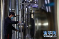 主動(dòng)出擊、抱團取暖—