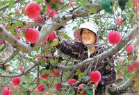 為特色“隴貨”打開(kāi)資