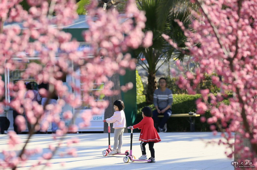 隴南市濱江濕地公園樂(lè )
