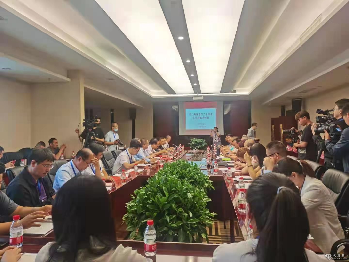 艾葉飄香時(shí)成果豐碩季