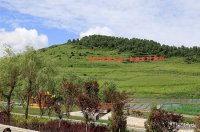 康樂(lè )草長(cháng)溝景區 天然大