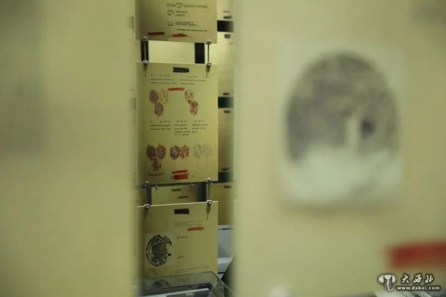 揭秘！德特里克堡基地