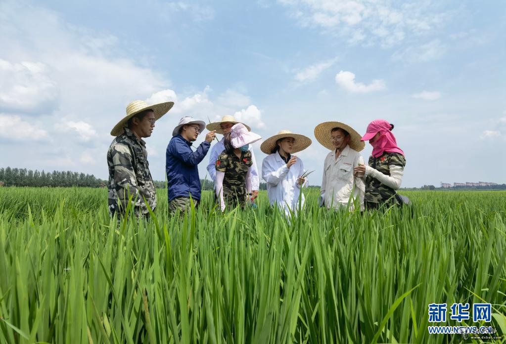 感受科技創(chuàng  )新“她”力