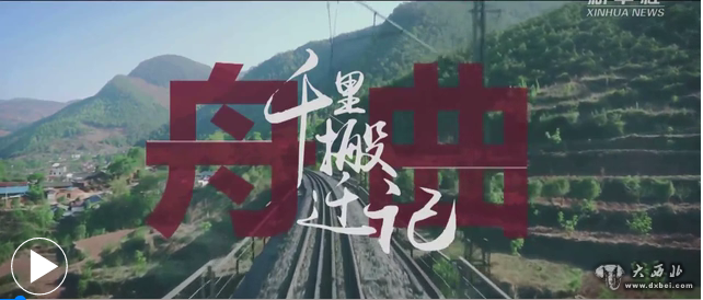舟曲：千里搬遷記