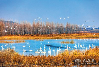 黃河實(shí)現連續22年不斷