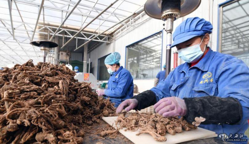 甘肅省岷縣等七縣區被