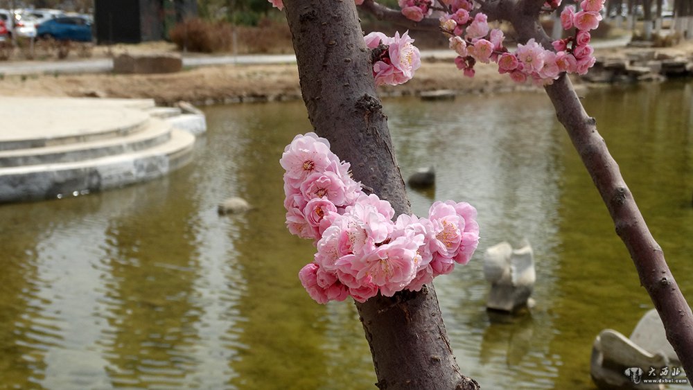 蘭州黃河之濱春景圖（