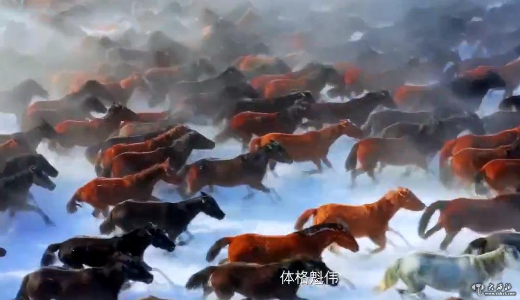 大型微紀錄片《新219國
