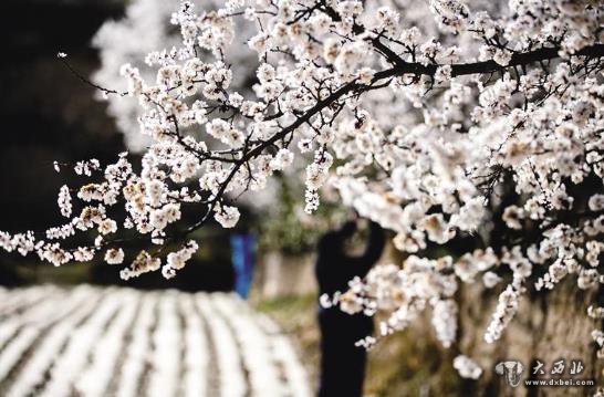 甘肅會(huì )寧：昔日四處塵