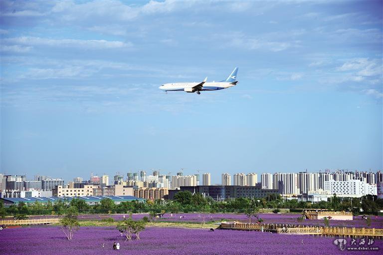 2022年蘭州新區全力創(chuàng  )建