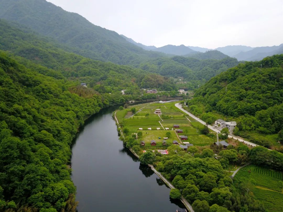 康縣陽(yáng)壩梅園溝國家