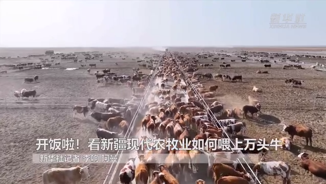 開(kāi)飯啦！看新疆現代農