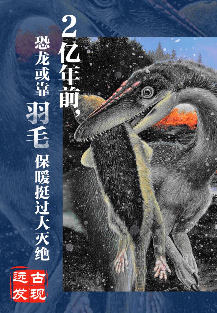 遠古發(fā)現丨科學(xué)家發(fā)現