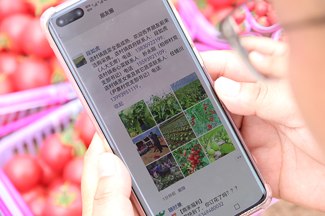 成縣：“線(xiàn)上線(xiàn)下”齊