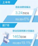 上半年我國信息消費規