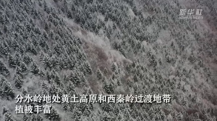 甘肅漳縣：雪后分水嶺
