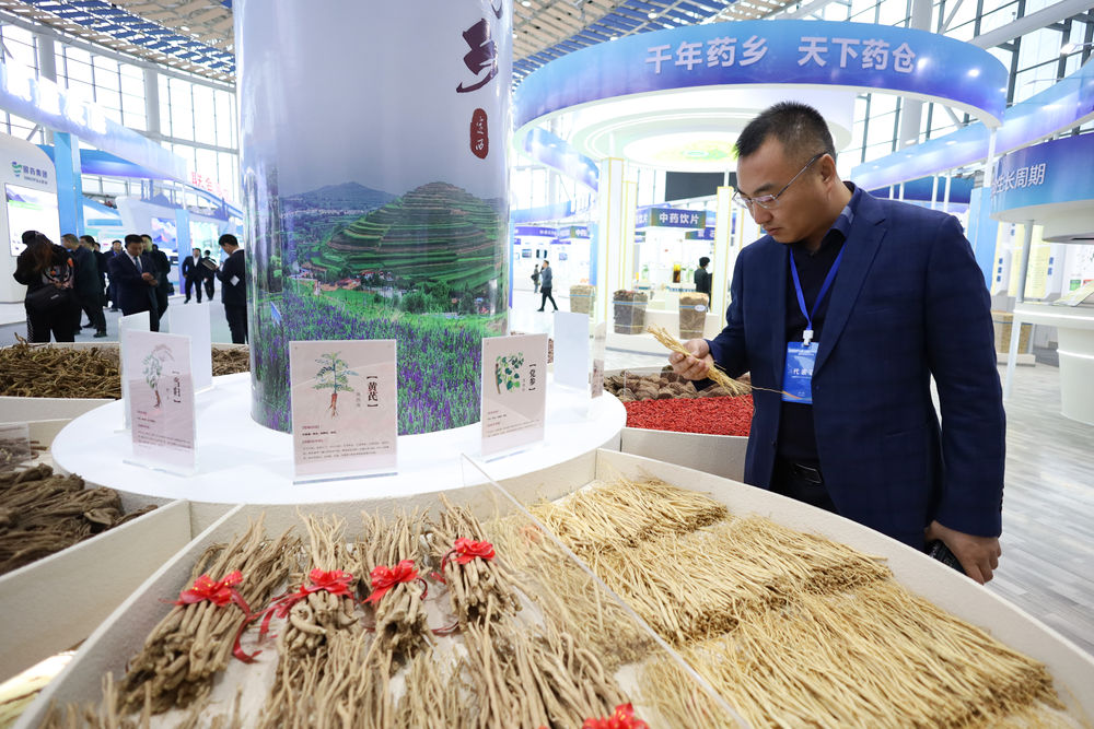 甘肅與東盟加強中醫藥