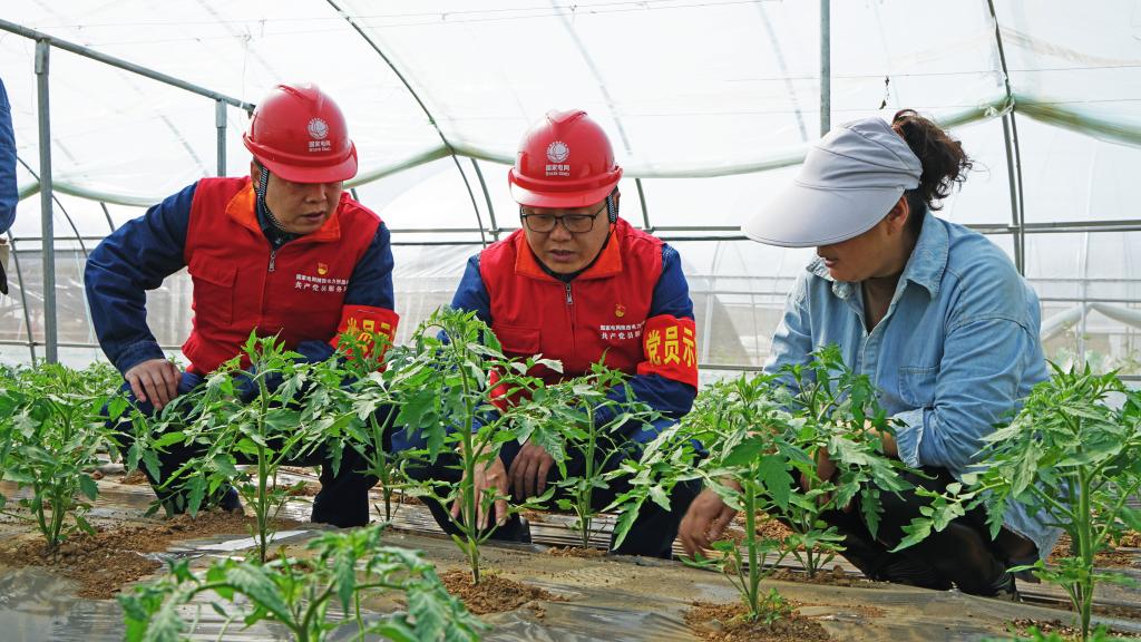 清水汩汩催新苗不誤農