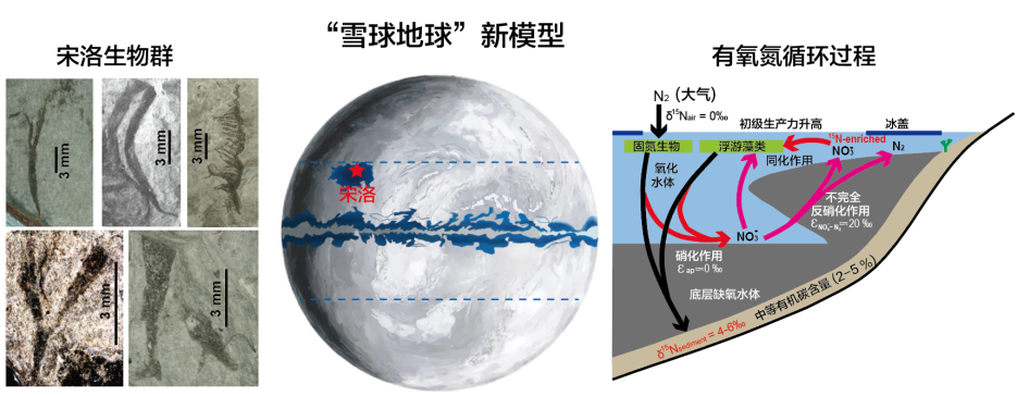 地大研究團隊提出6.3億