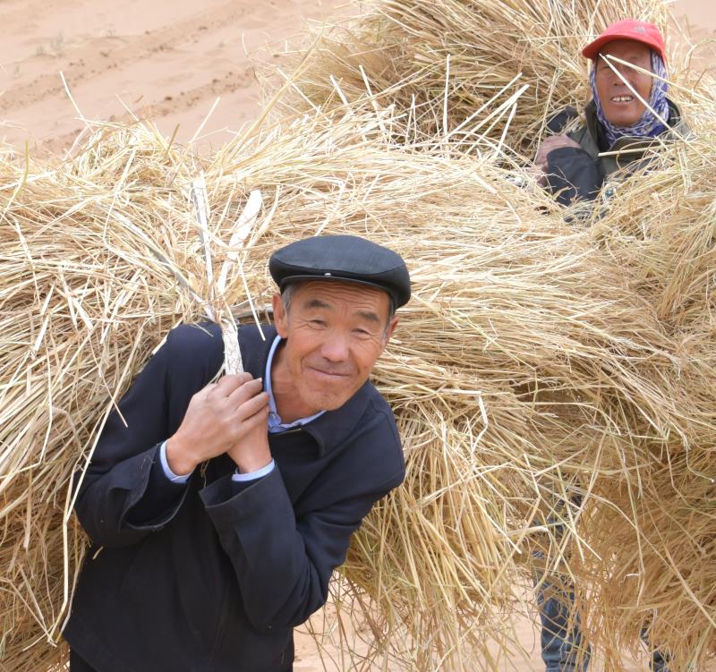 全國林草系統的一面旗