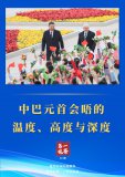 中巴元首會(huì )晤的溫度、