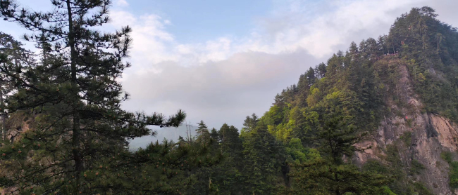 小隴山黨川林場(chǎng)守好綠