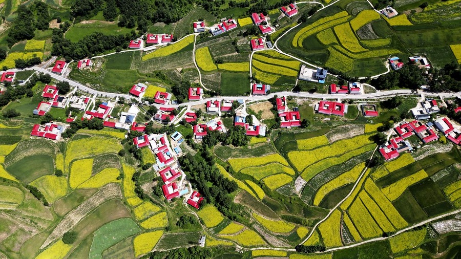 近悅遠來(lái)，隴原鄉村綻