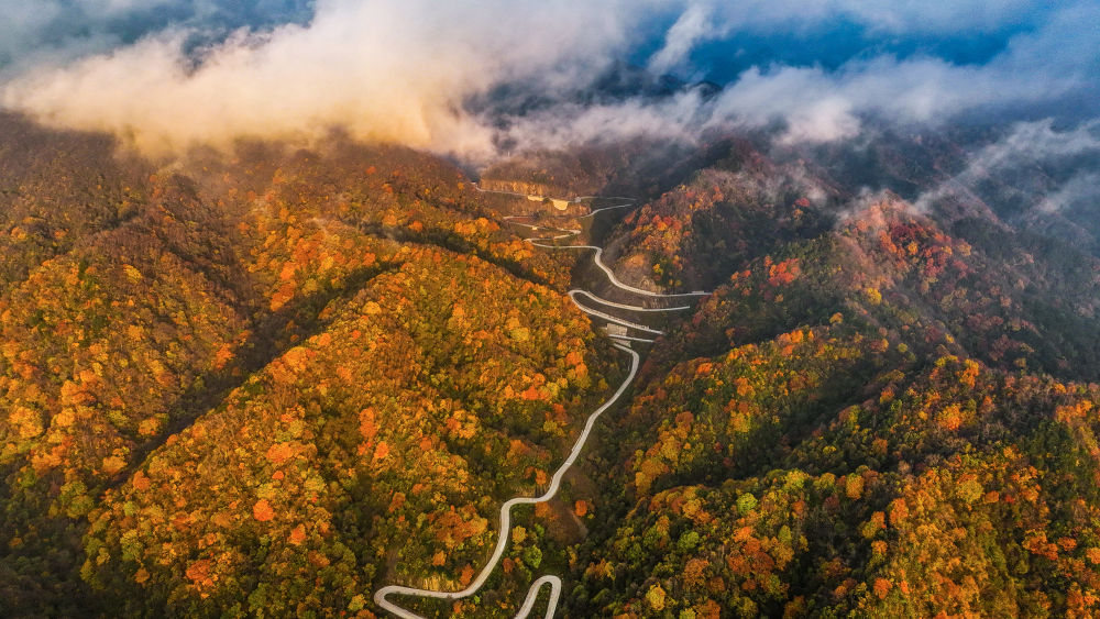 秦嶺山區公路成天然畫(huà)