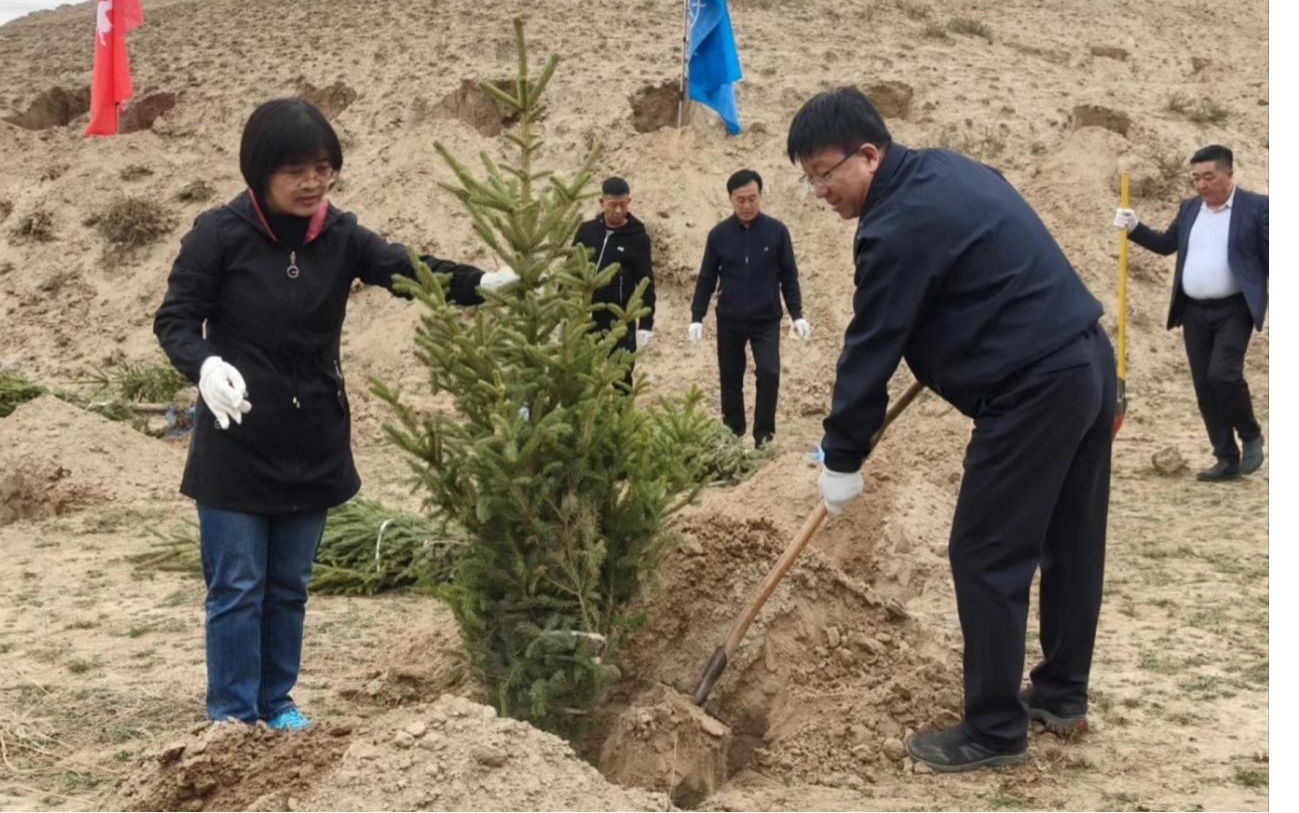 “我在南山有棵樹(shù)”—