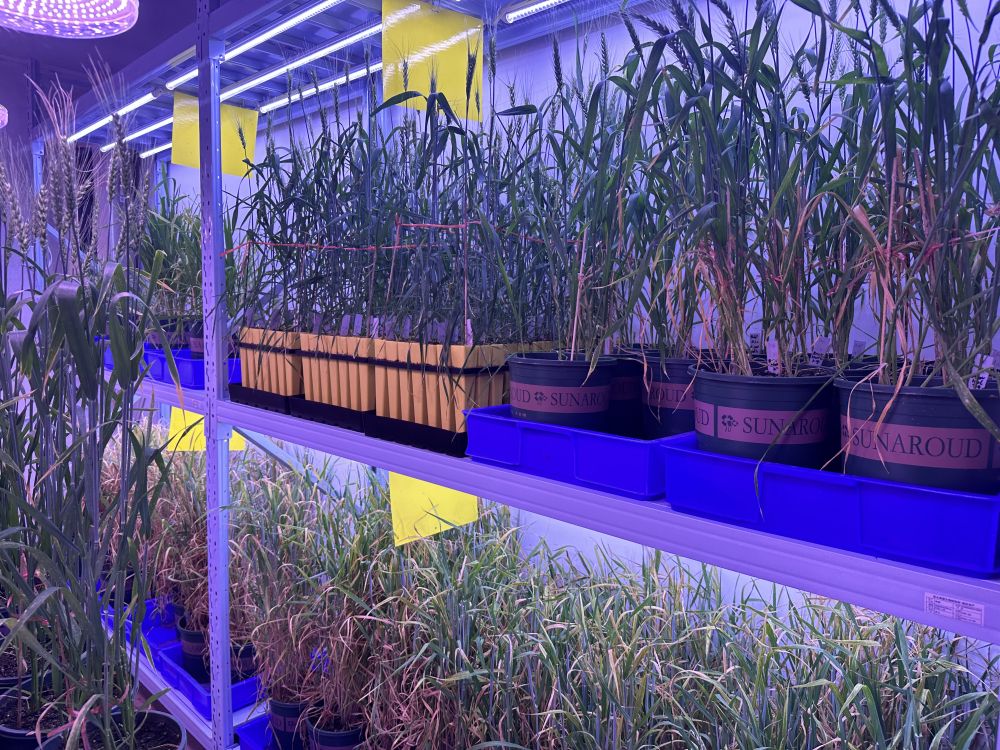 青藏高原生物種質(zhì)資源