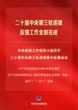 二十屆中央第三輪巡視